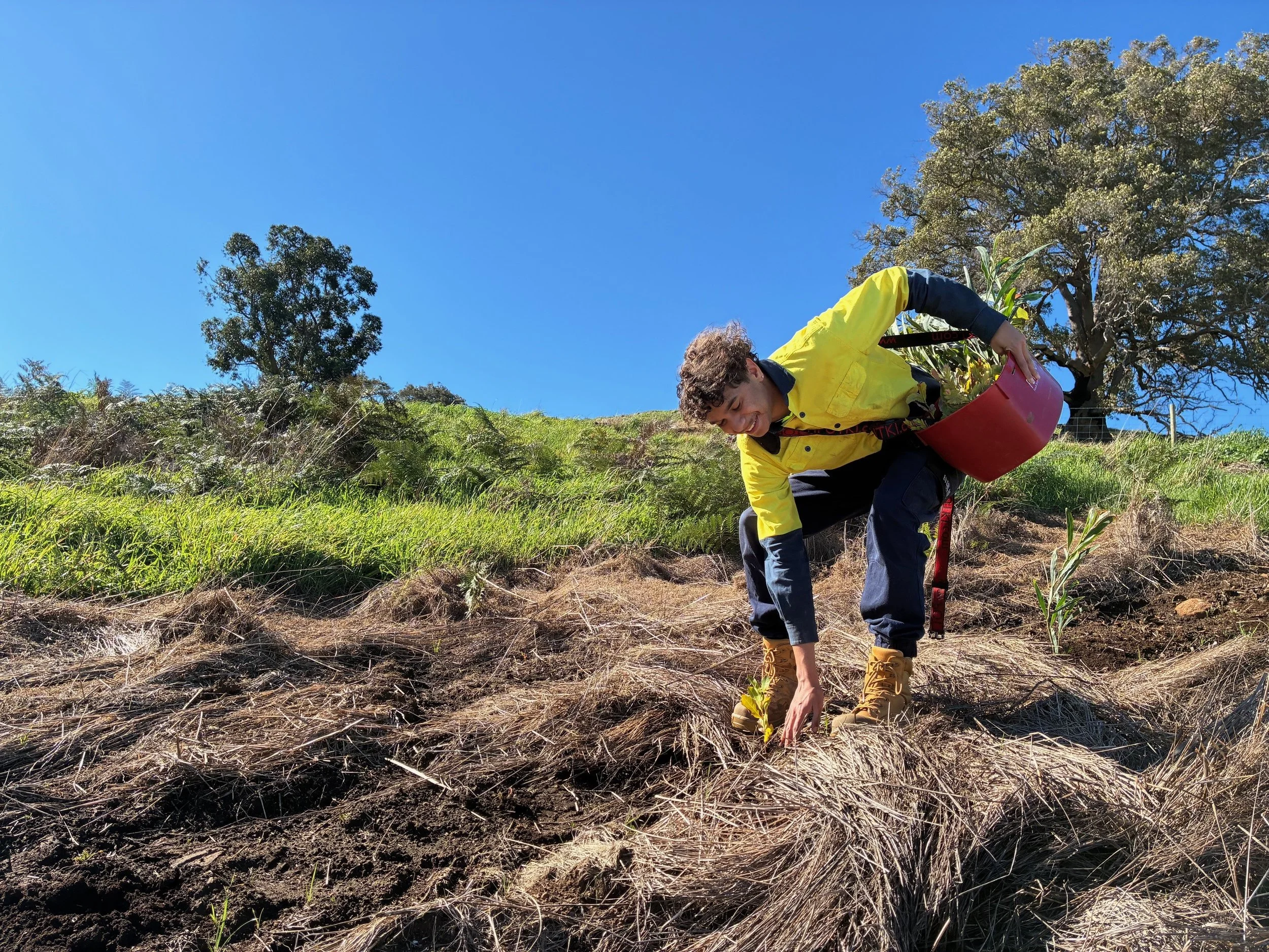 Kris Baesjou HEWA_Robbie planting.jpg