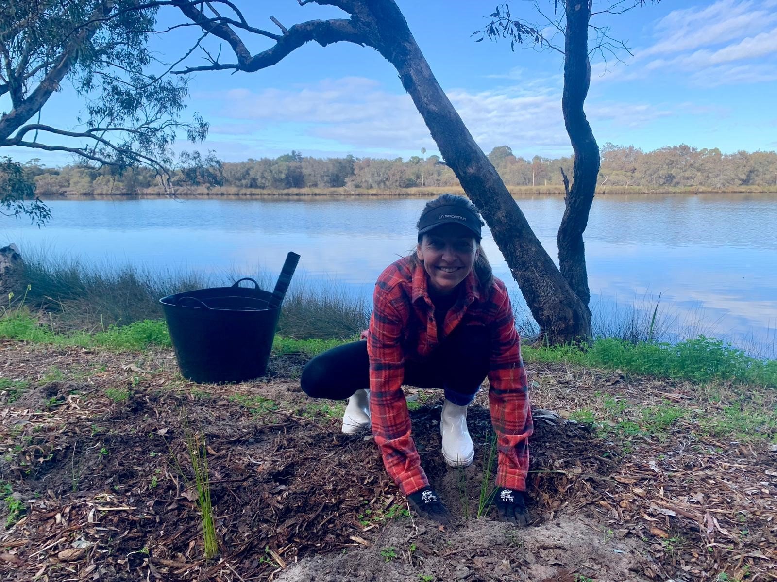 Clifton Park Planting.jpg