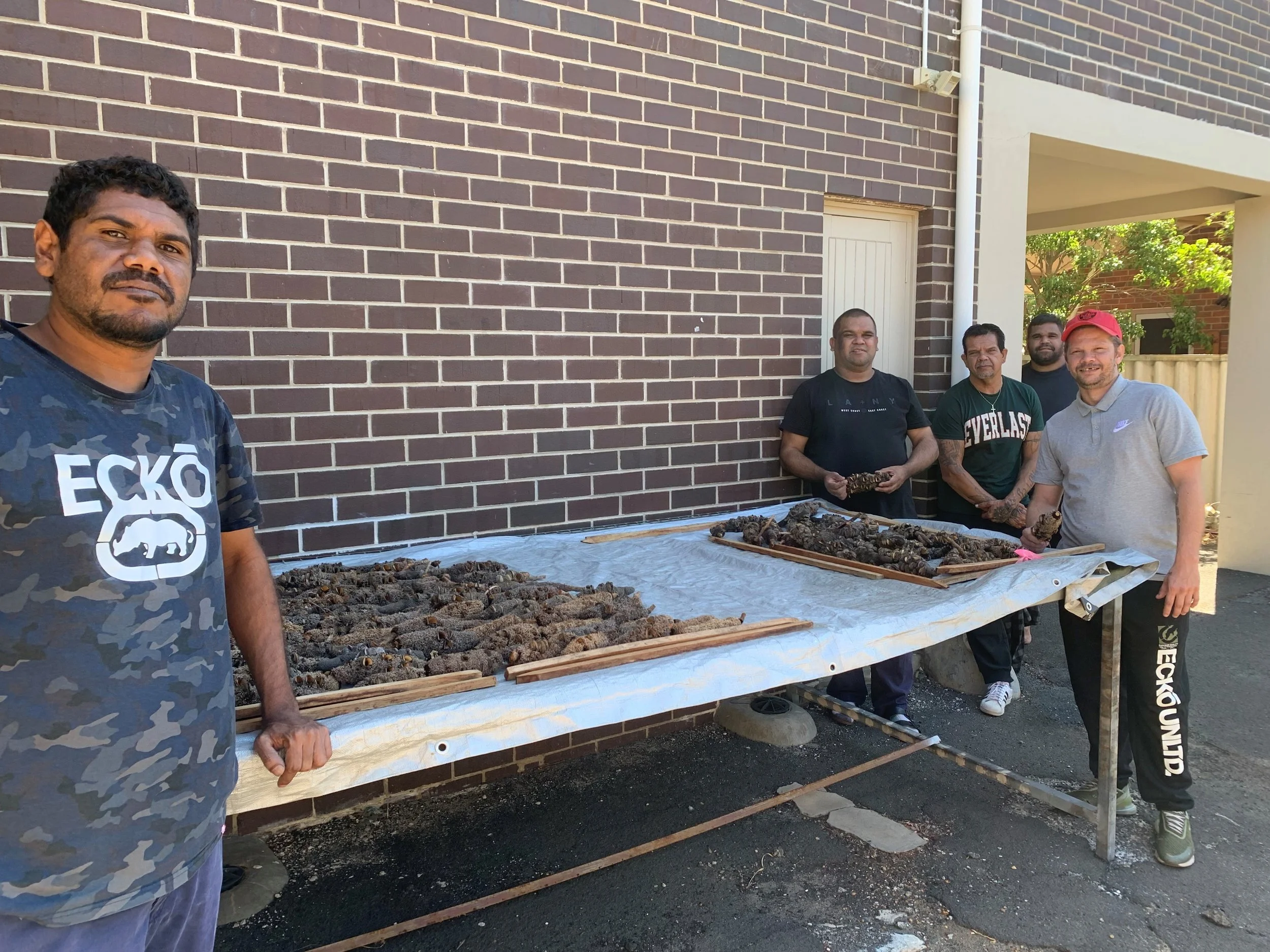 Danju_Seeds drying at the office.jpg