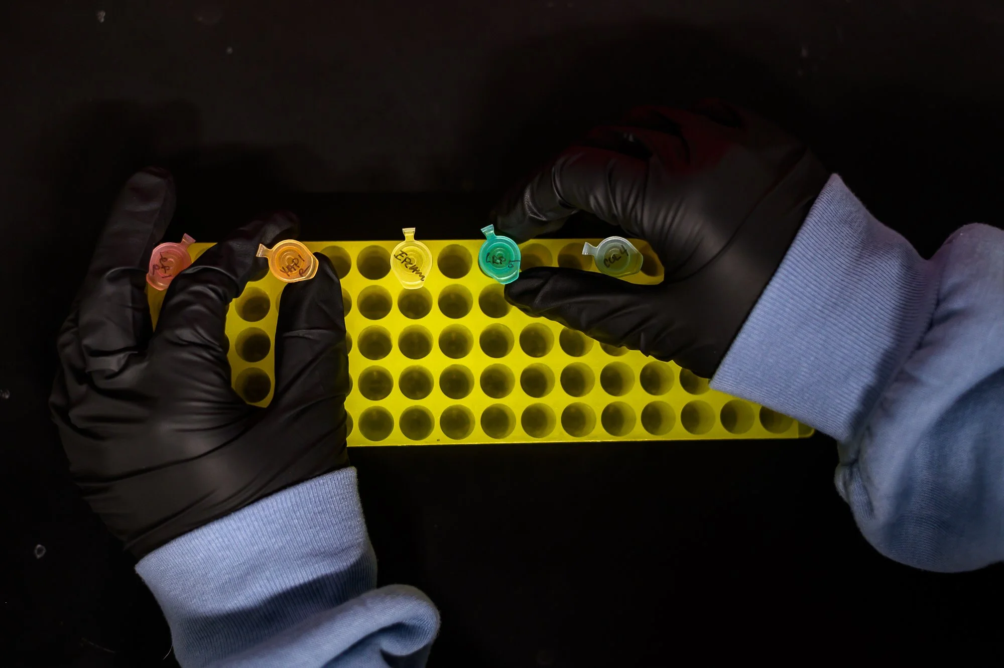 041_UMKC_biology_ug_research.JPG