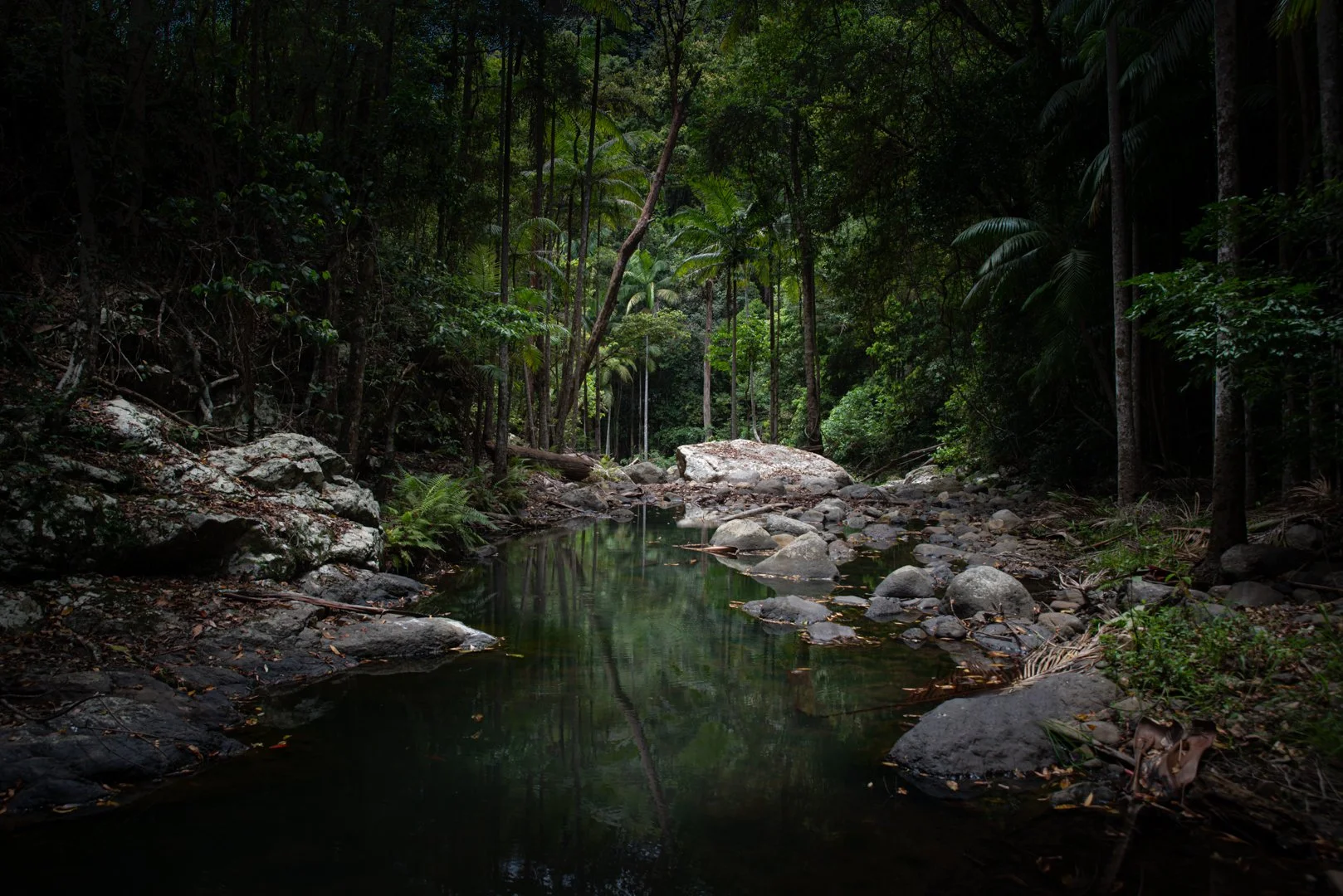 Guanaba Creek Reflections.jpg