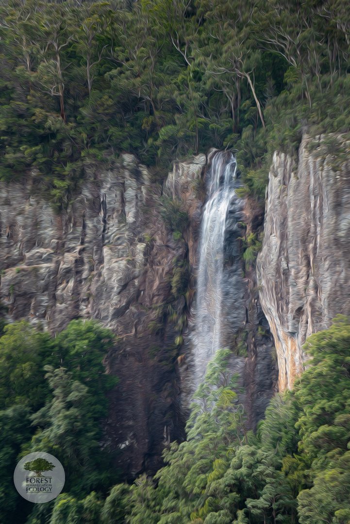 Painterly Springbrook Waterfall with watermark.jpg