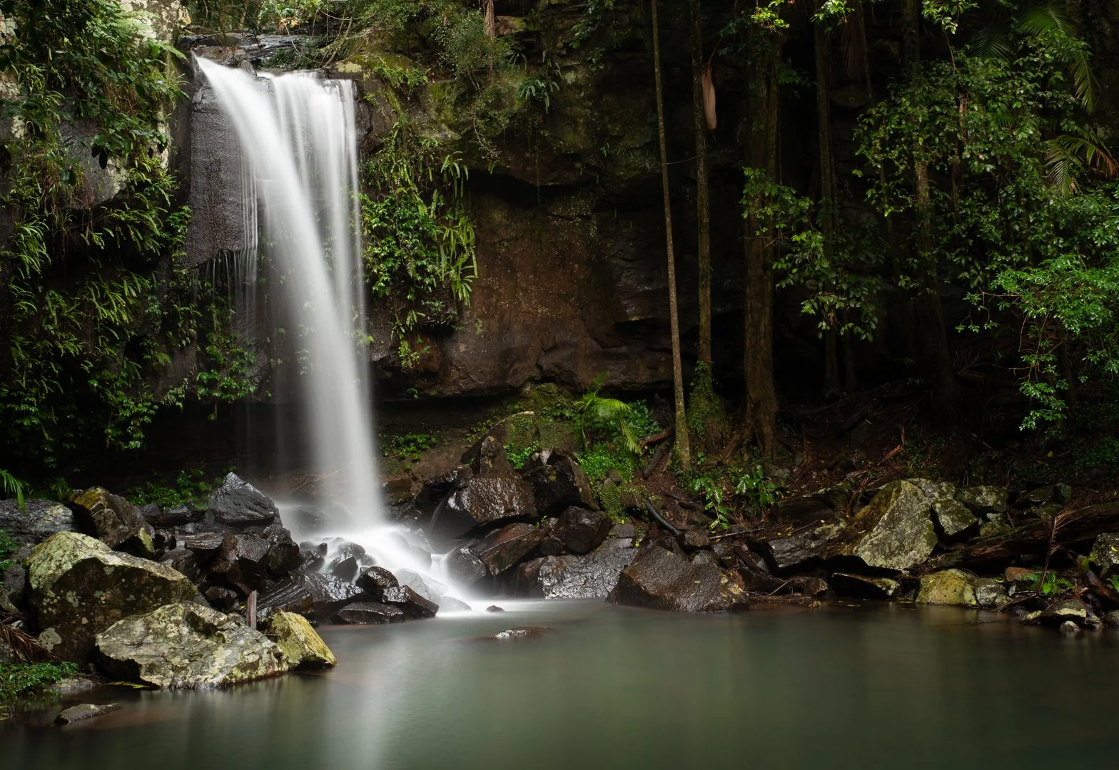 Curtis Falls.jpg