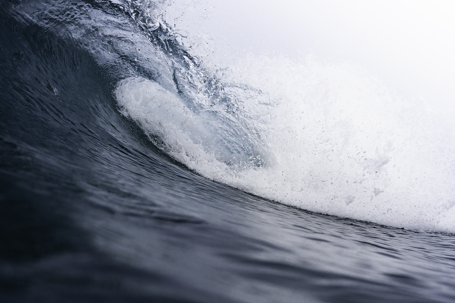 waveeeeee.png