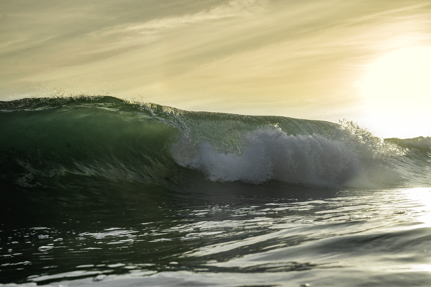 wave.png