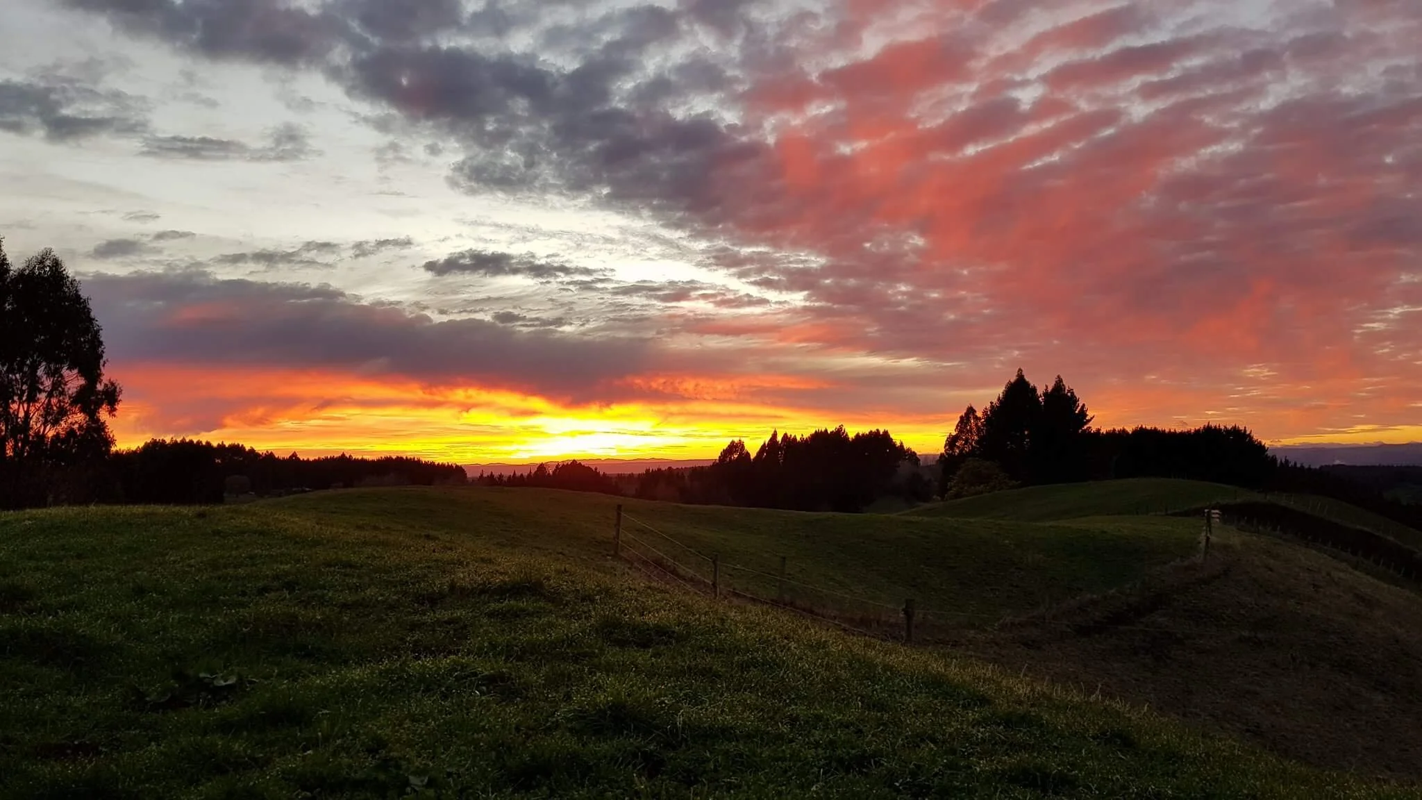 Kisses from Heaven (Part 3)