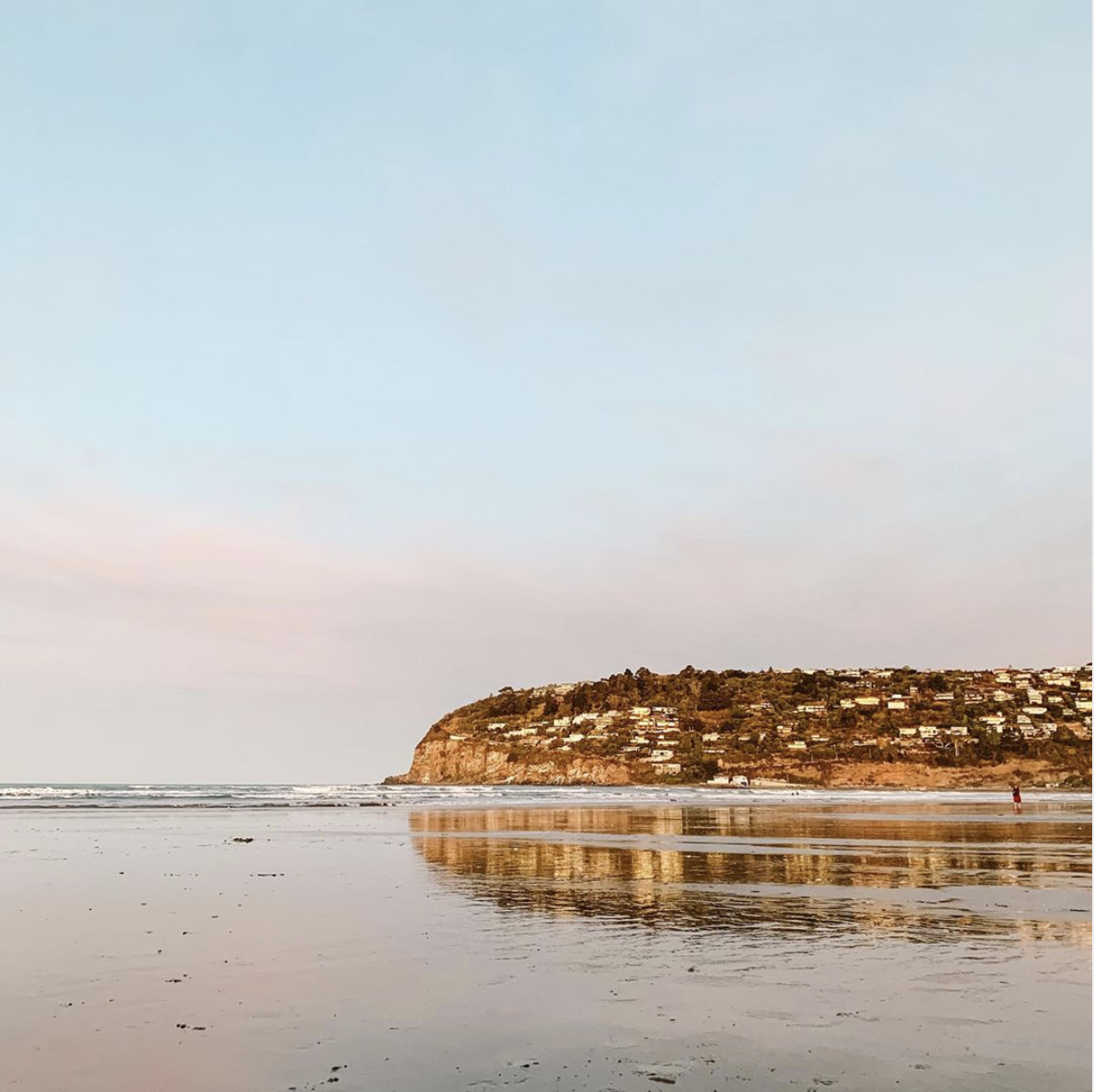 Screen Shot 2020-05-16 at 1.21.49 PM.png