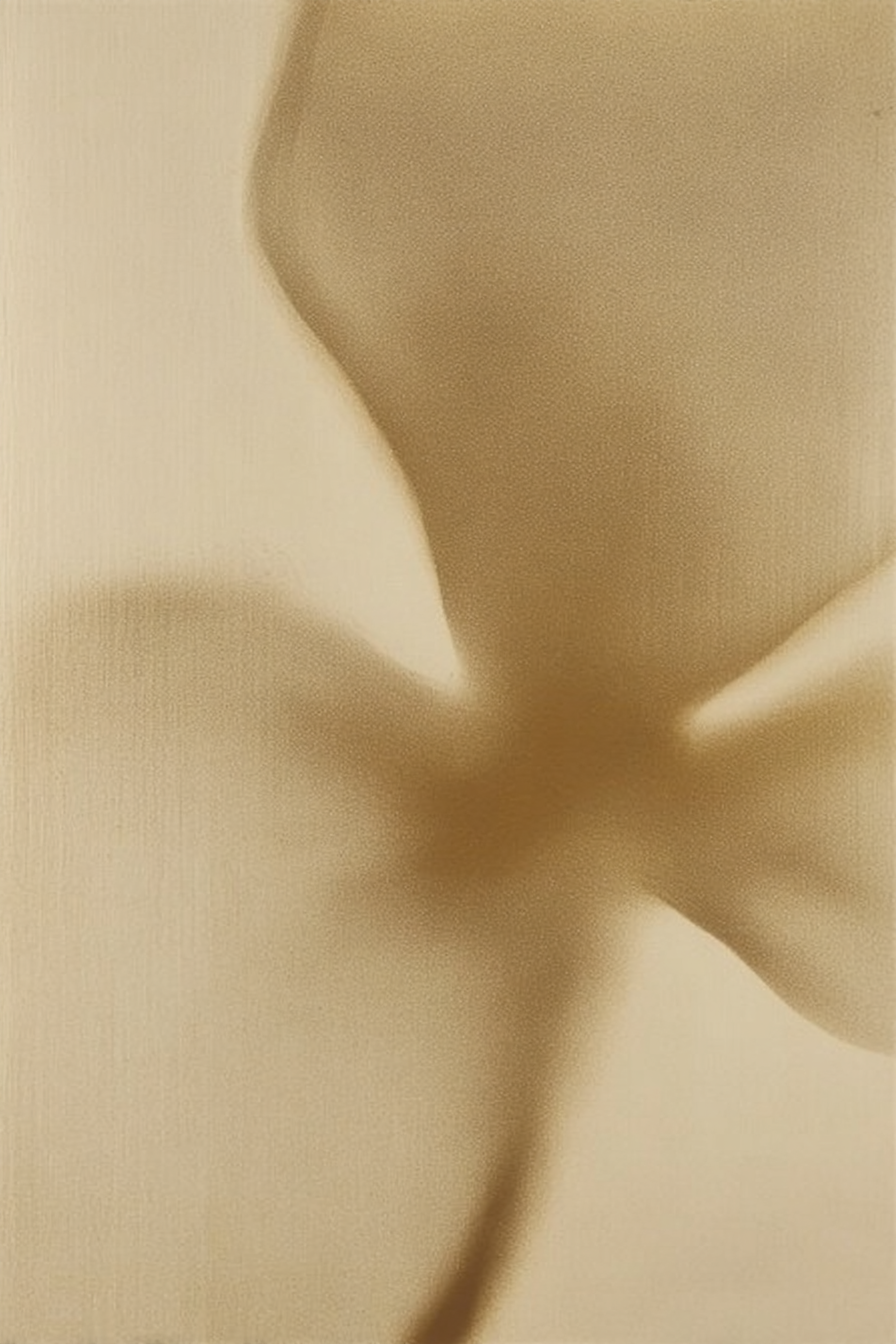 Close-up of a nude human body, focusing on the torso, with soft lighting and blurred background.