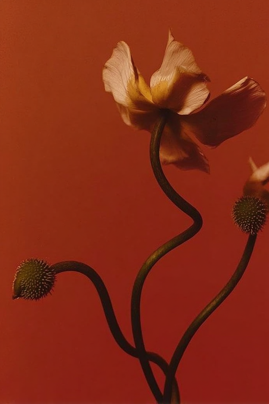 A surreal sculpture of a flower with a soft pink petal and a curved stem, against a muted reddish background.