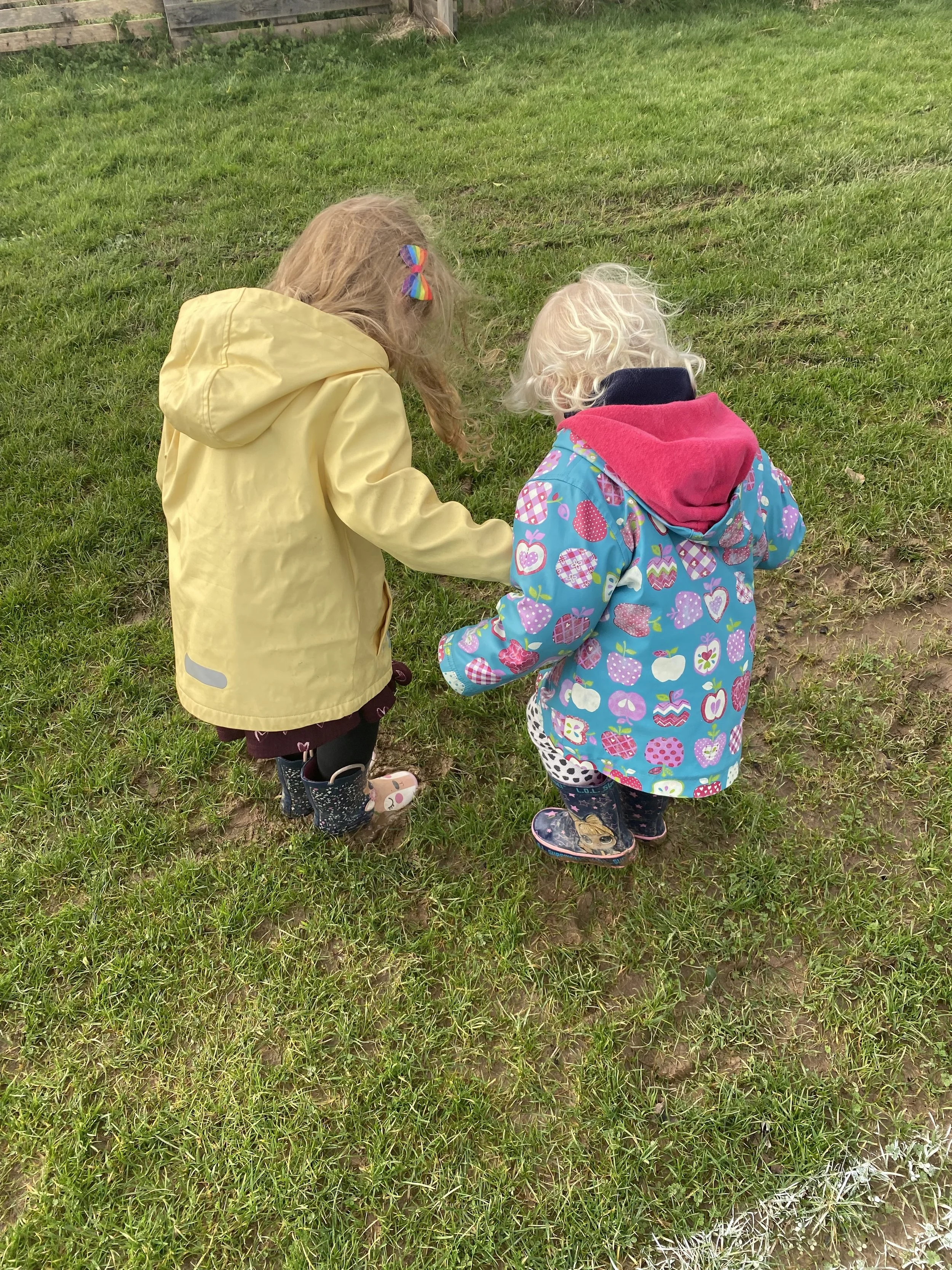 IMG_6543 - Copy.jpeg