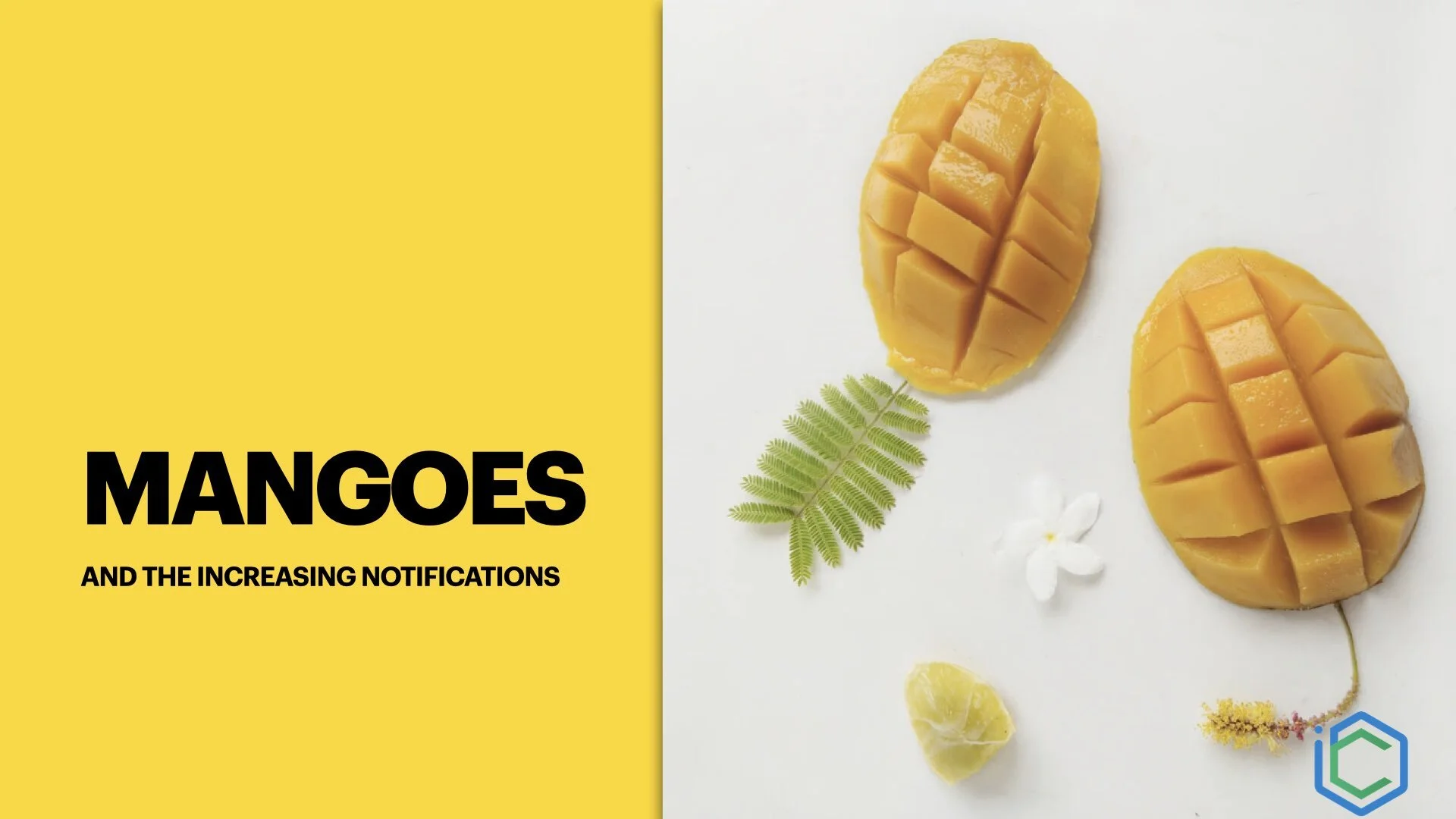 Mangoes.001.jpeg