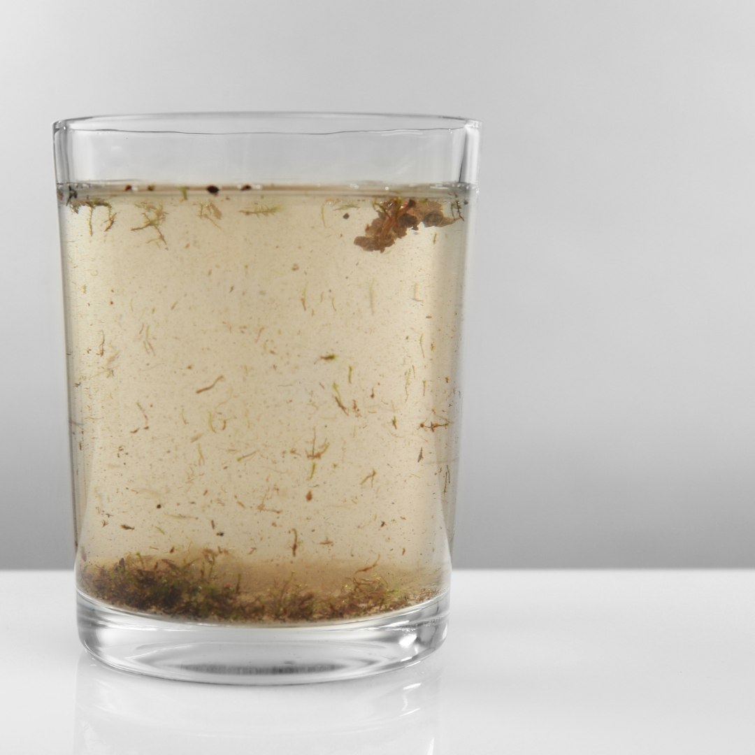 The Impact of Pakistan's Water Contamination Crisis on Agricultural Produce and Food Safety