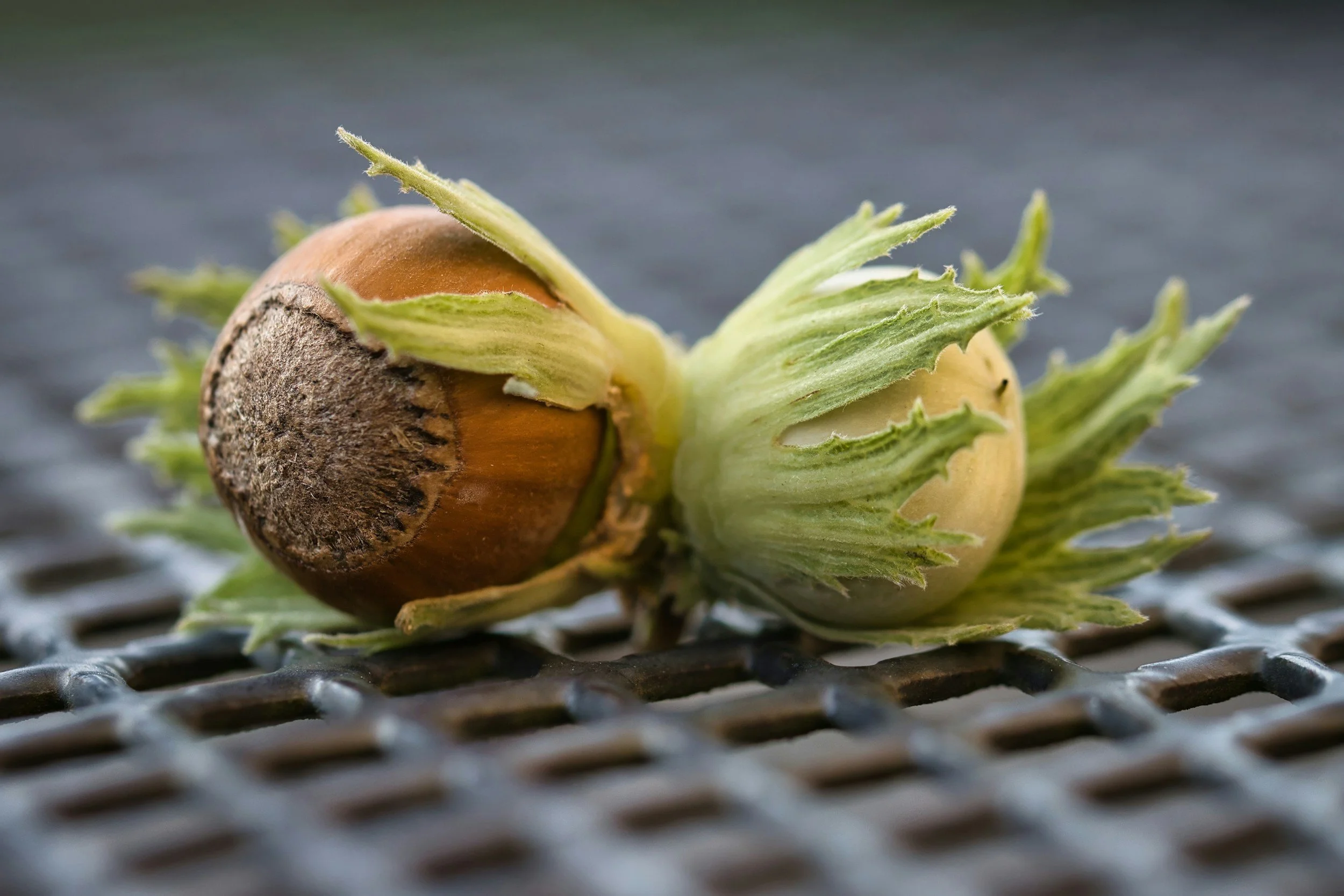 iComplai Predicts Rising Food Fraud &amp; Safety Risks in Hazelnuts Months Before Peak Alerts
