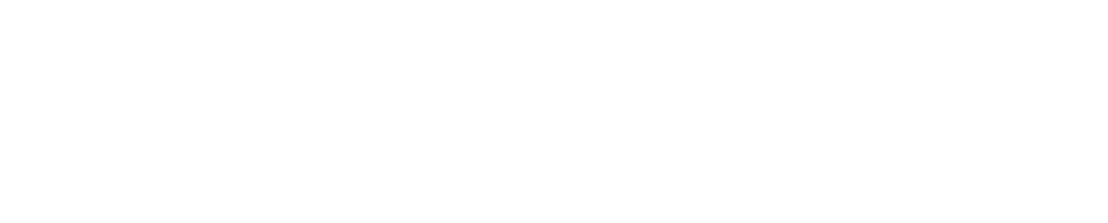 logo-pulsar.png