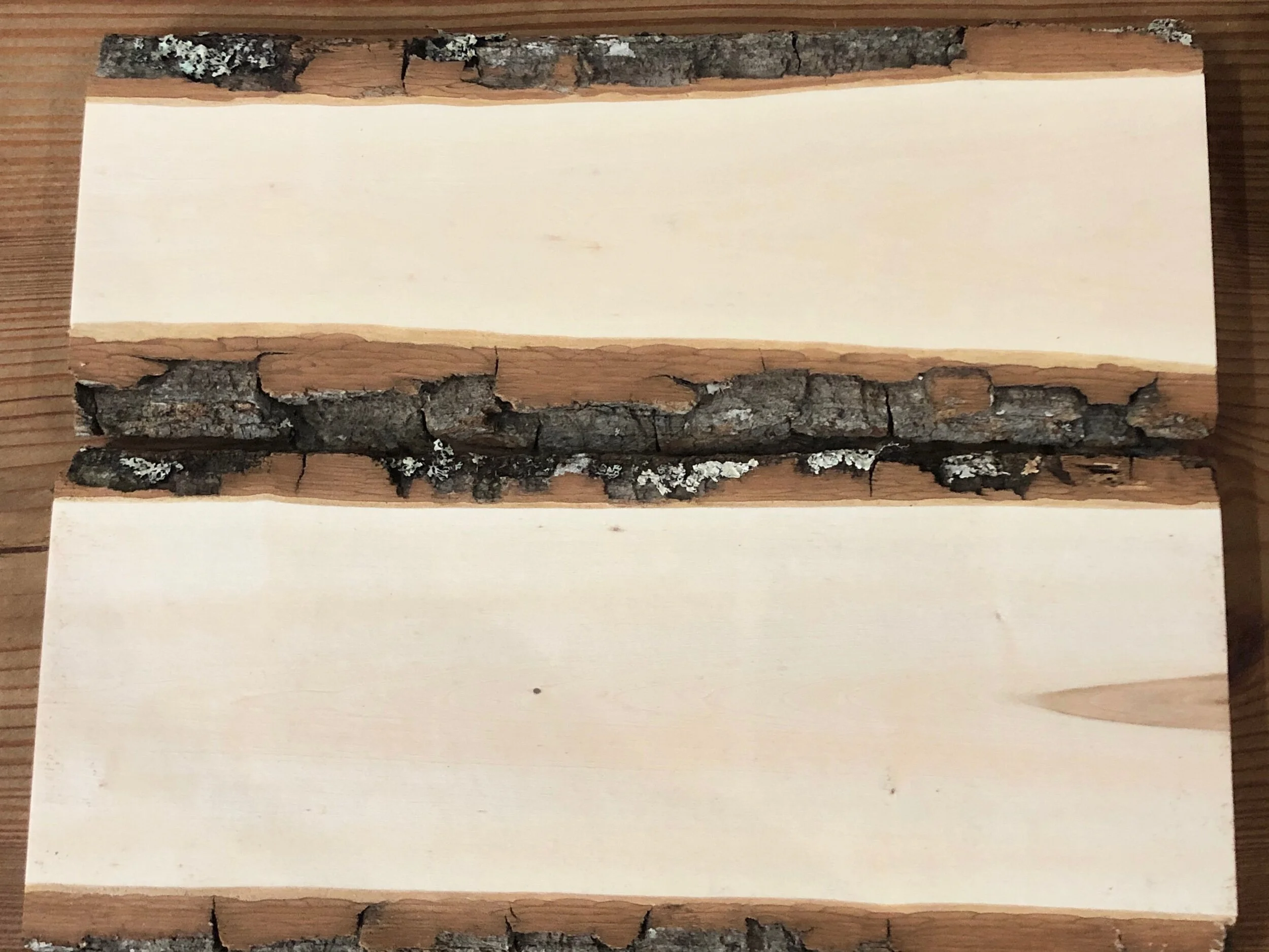 3FAB23EF-6CFE-41F5-83F2-1C2824BCF4C6