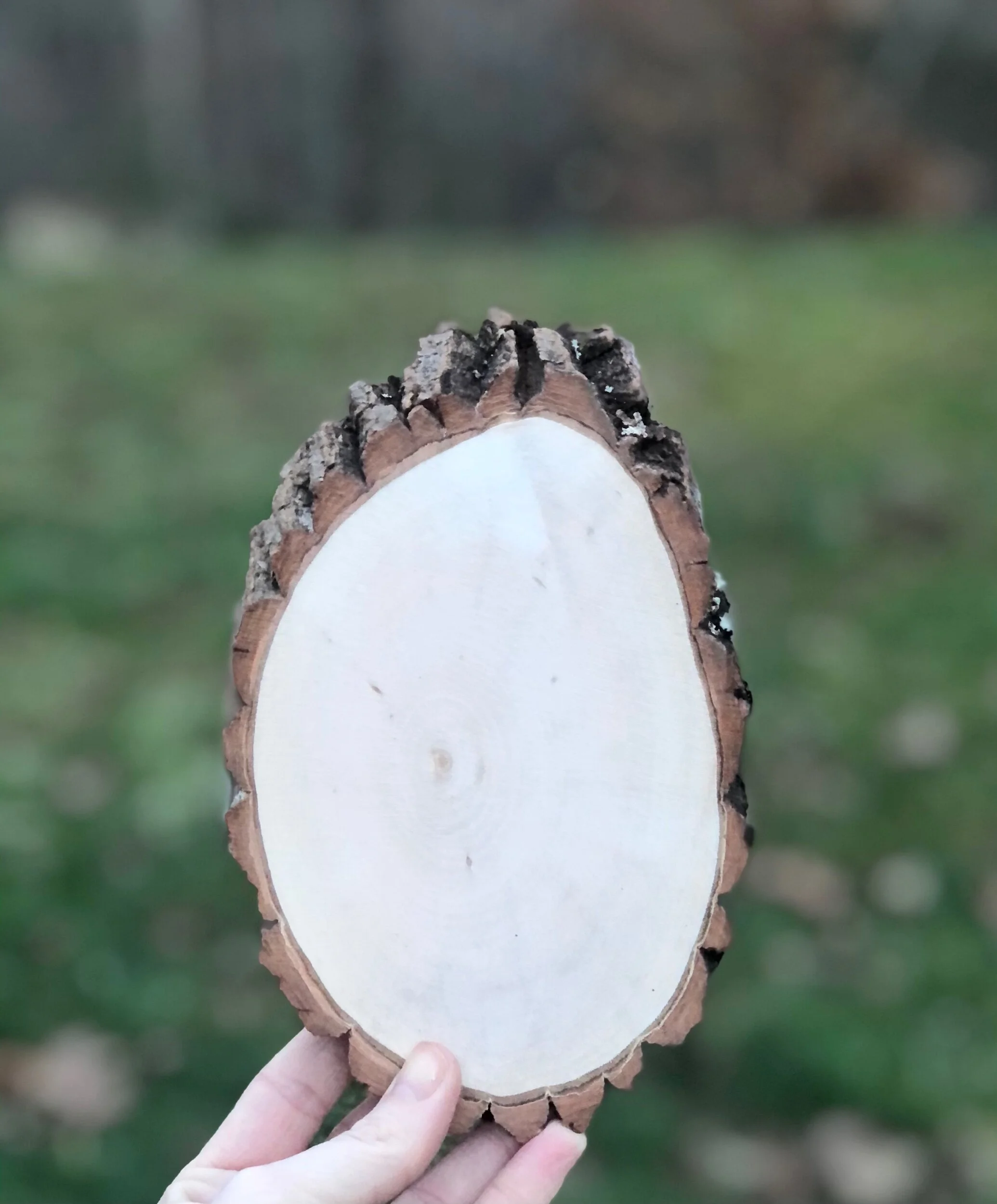 30F3784A-00A0-4C43-91CC-470504C55829