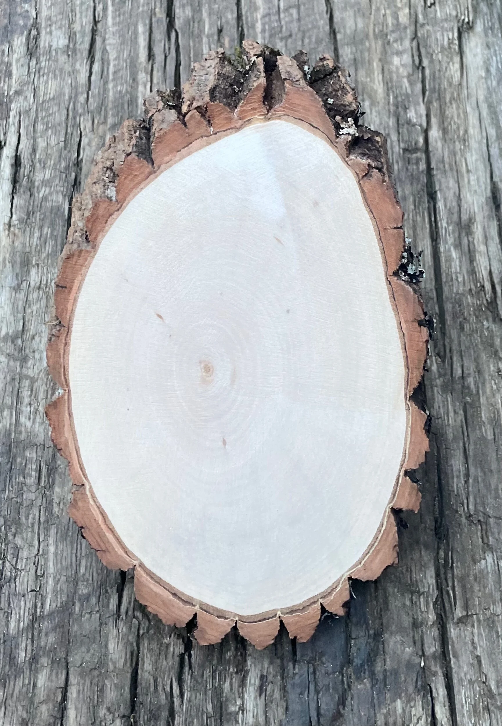 1D46DE1B-D642-42DC-97B1-7FDF5510BE62