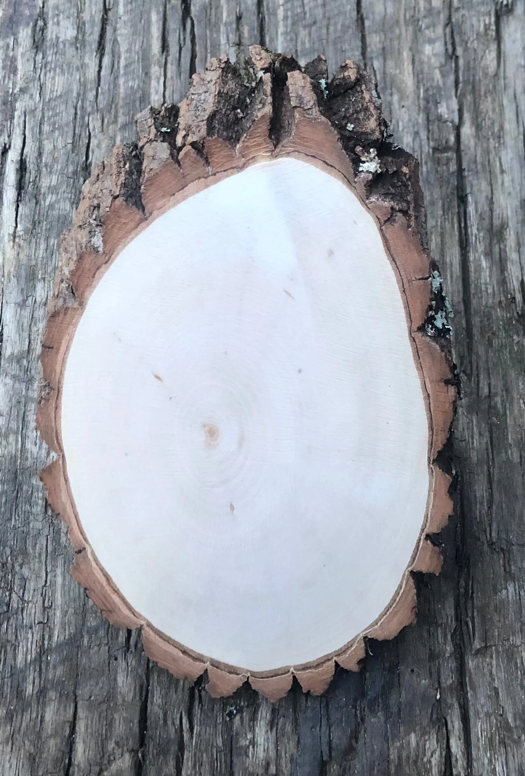 6E87A804-56C3-4A2C-B9ED-1B967FEE4979