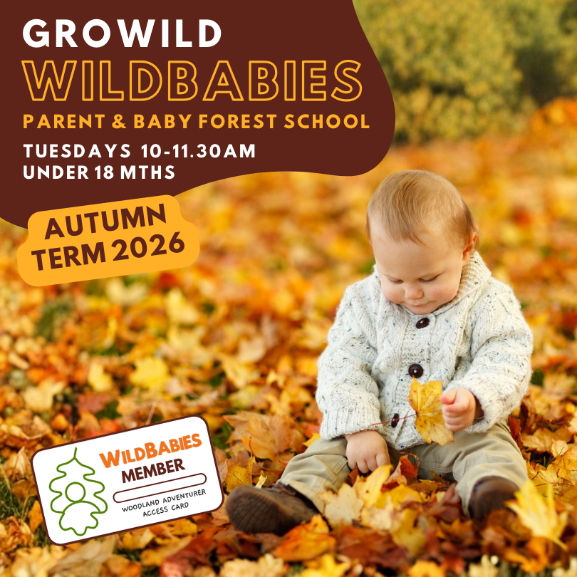 WildBabies Member | Autumn Term | 10:00 - 11:30am