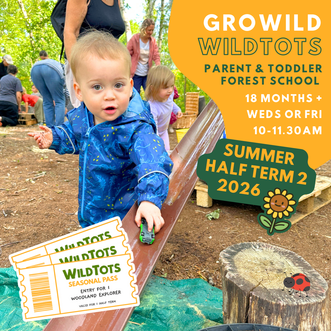 WildTots Seasonal Pass | Summer  Half-Term 2 | 10:00 - 11:30am