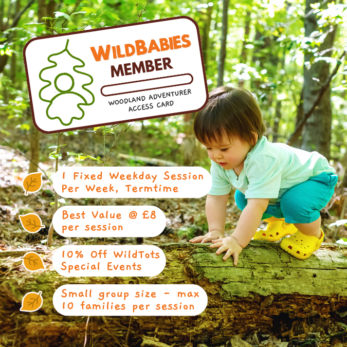 Wildtots 2026 (28).png