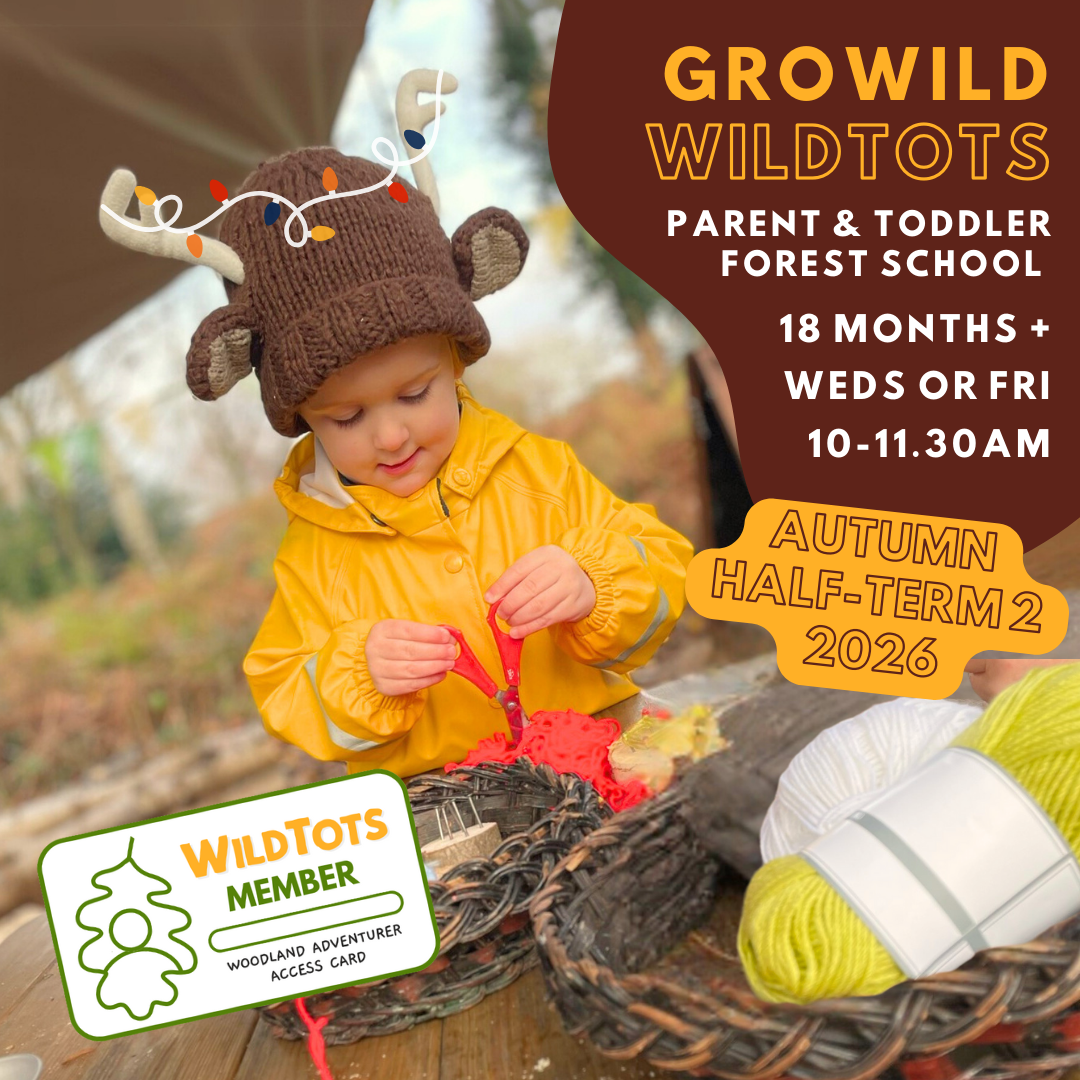 WildTots Member | Autumn Half-Term 2 | 10:00 - 11:30am