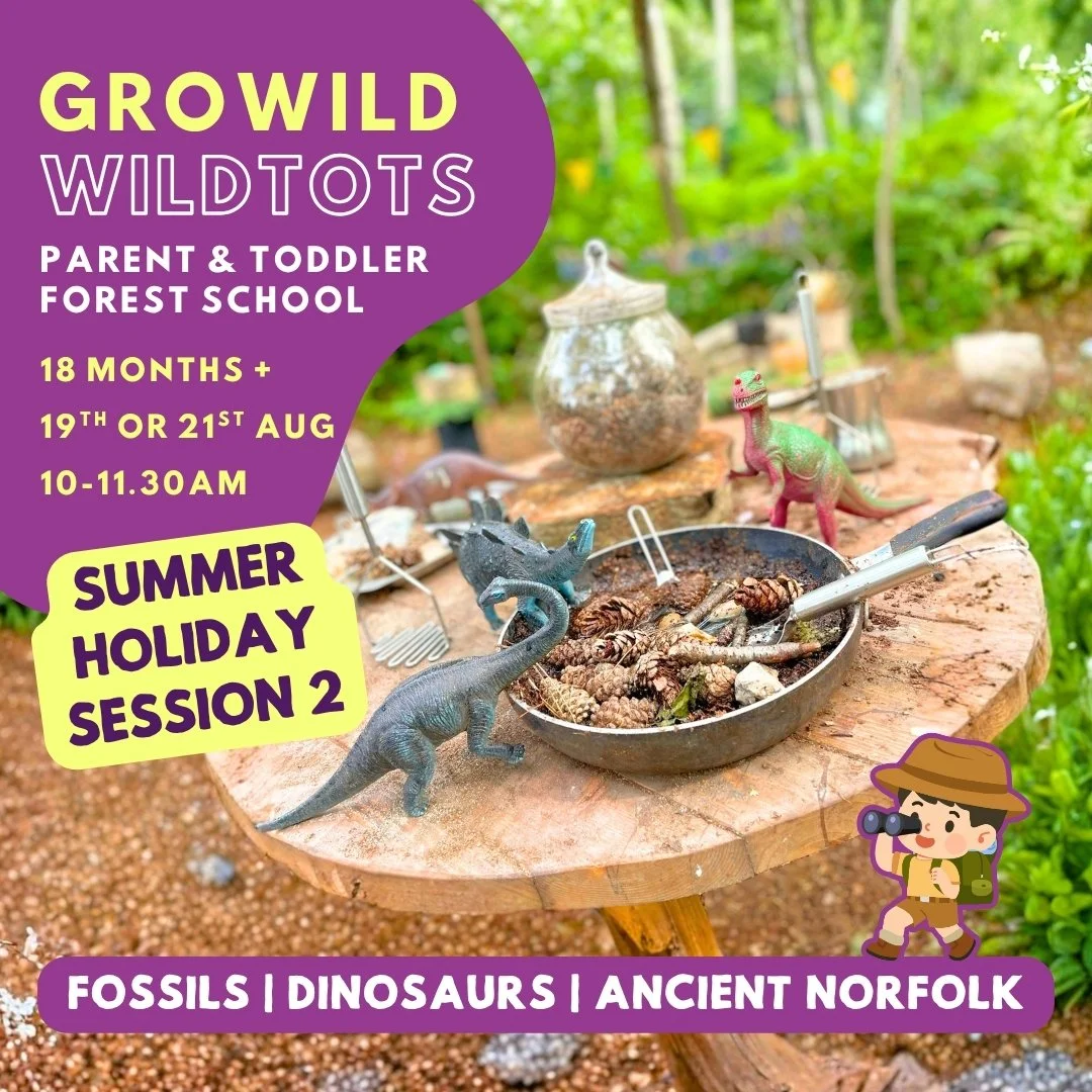 WildTots Fossils, Dinosaurs and Ancient Norfolk summer holiday forest school session for toddlers, featuring dinosaur play in a woodland setting on 19 or 21 August.