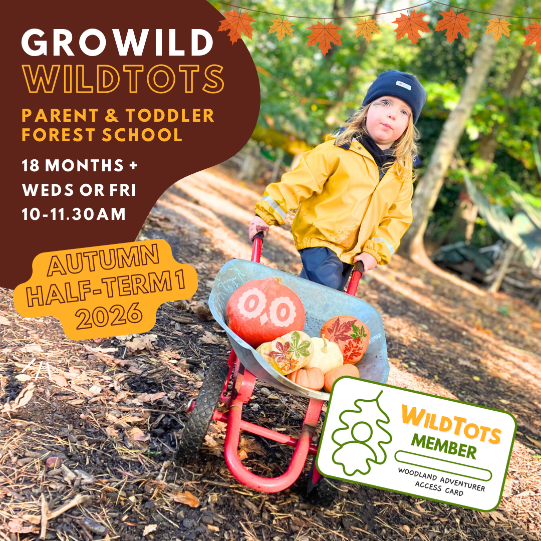 WildTots Member | Autumn Half-Term 1 | 10:00 - 11:30am