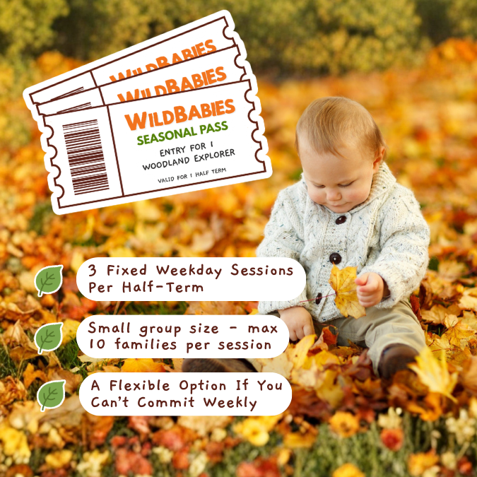 Wildtots 2026 (31).png