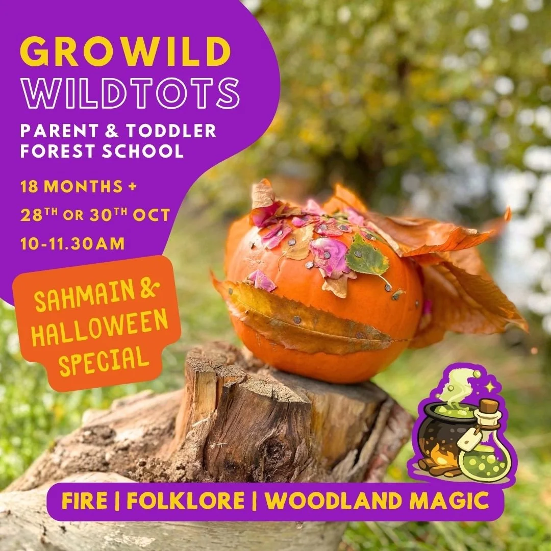 WildTots Samhain and Halloween forest school special for toddlers in Norfolk, with a decorated pumpkin in the woodland