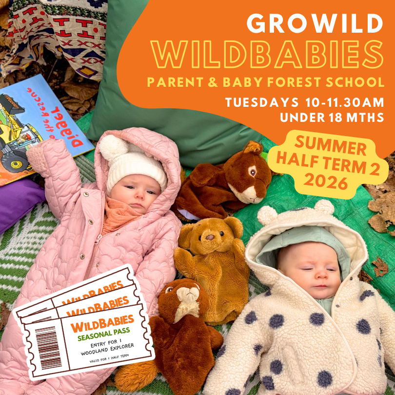 WildBabies Seasonal Pass | Summer Half-Term 2 | 10:00 - 11:30am