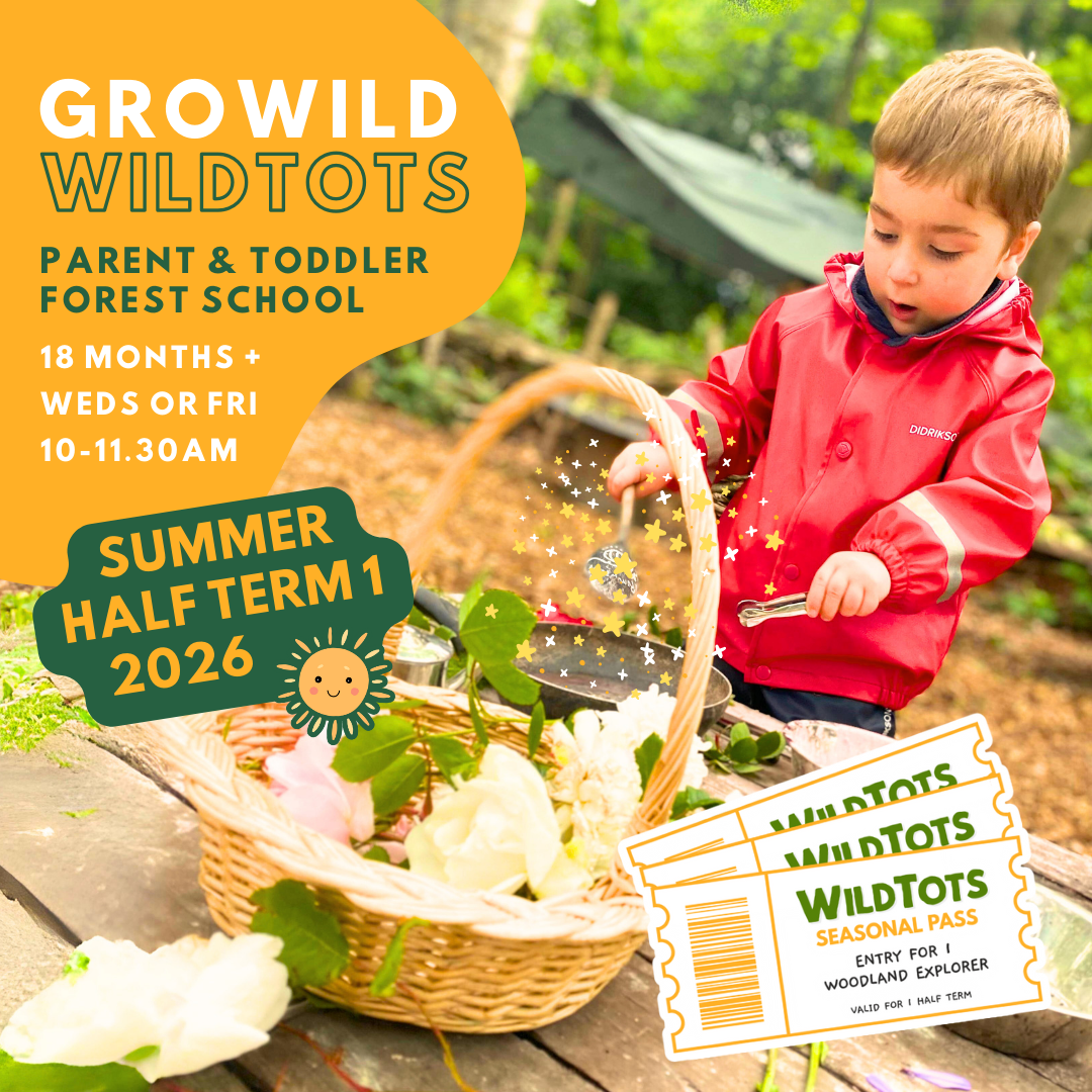 WildTots Seasonal Pass | Summer Half-Term 1 | 10:00 - 11:30am