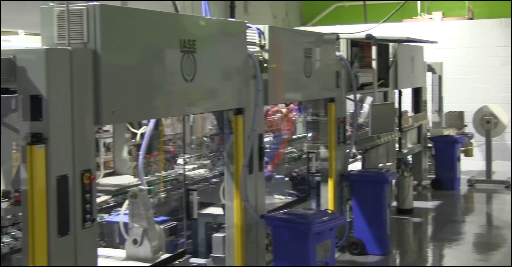 IASE outside the modular frame of the robotic packaging system