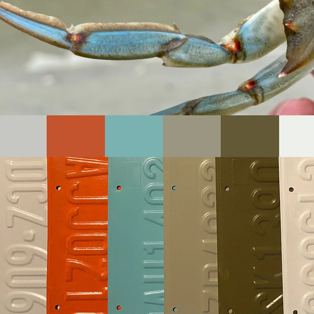 Argo colors.jpg