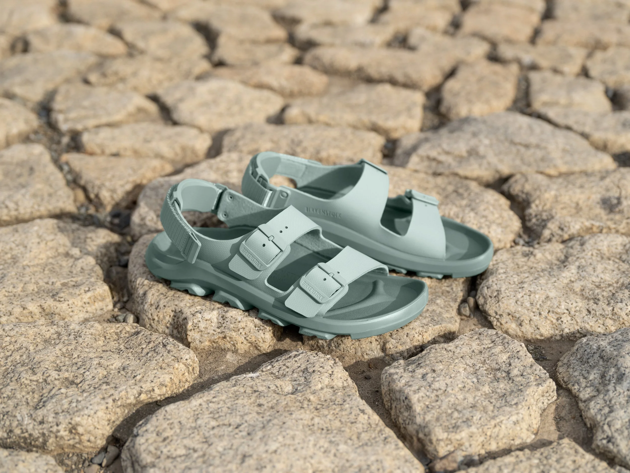 BIRKENSTOCK Low res WEB-21.jpg