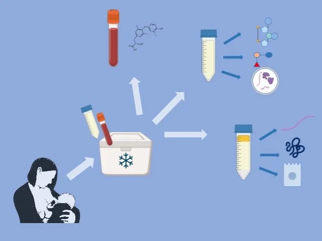 The journey of a sample