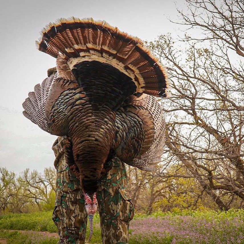 Drummin&rsquo; in your chest&hellip;🥁 A feelin&rsquo; incomparable to anything other 🦃
&mdash;&mdash;&mdash;&mdash;&mdash;&mdash;&mdash;&mdash;&mdash;&mdash;&mdash;&mdash;&mdash;&mdash;&mdash;&mdash;&mdash;&mdash;&mdash;

📸: @anna_y_woods 

&mdash
