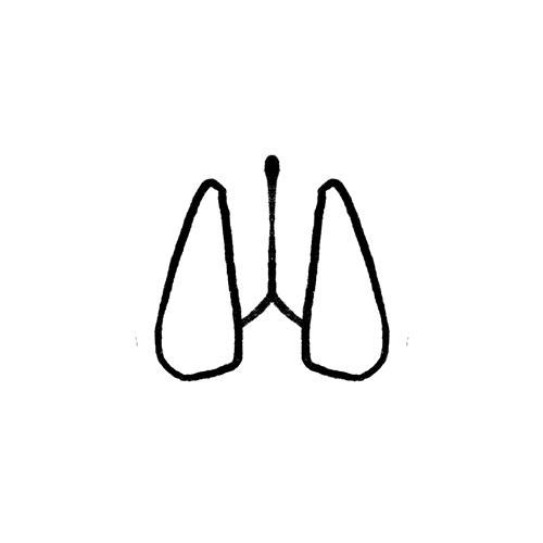 Benefits of Breathwork — BREATHE WITH JAMES