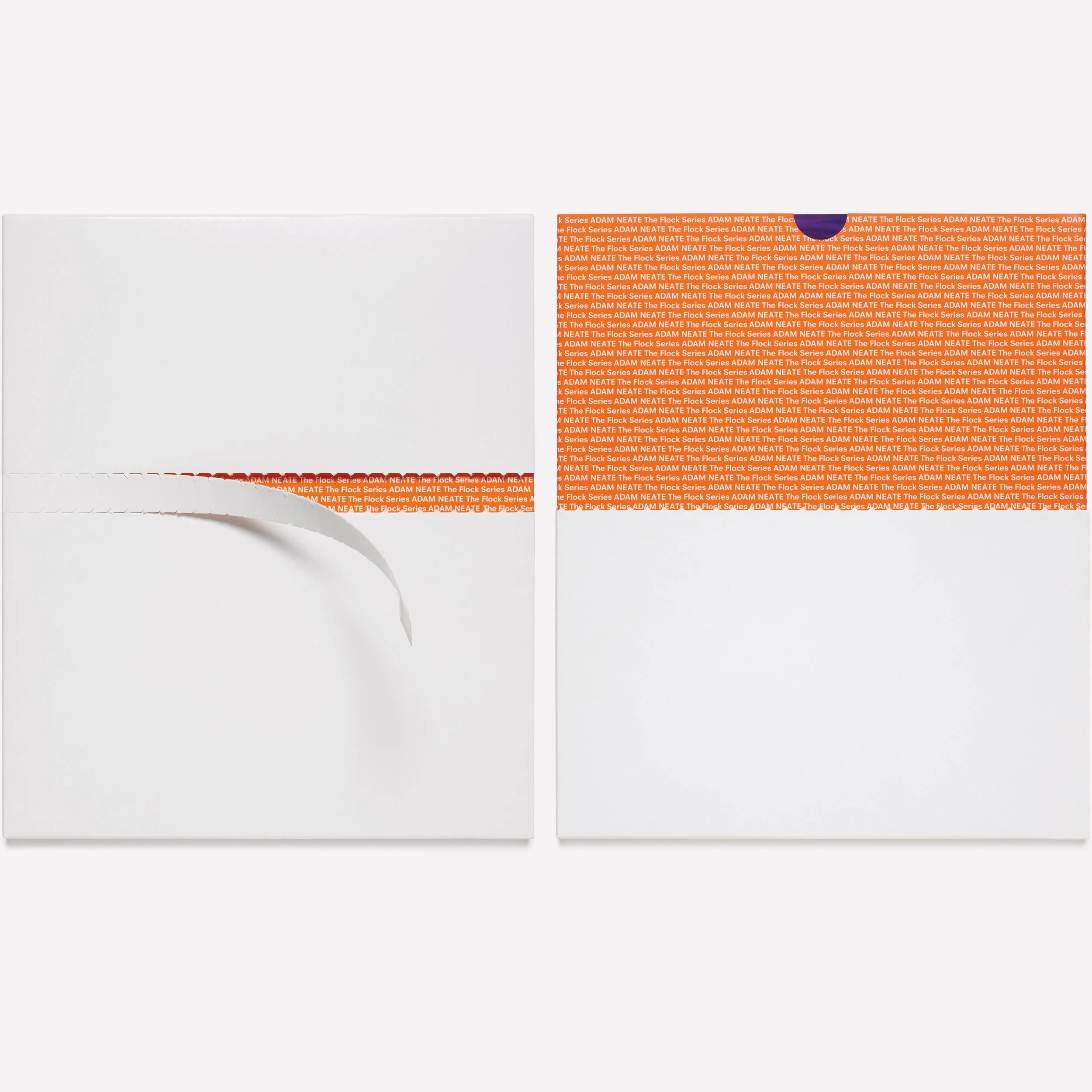  THE FLOCK SERIES ADAM NEATE  16 page, hard bound book with silkscreen printed frosted perspex covers and black velvet spine. Published to accompany Adam Neate’s series of five paintings called The Flock Series.  Presented in a custom made white card