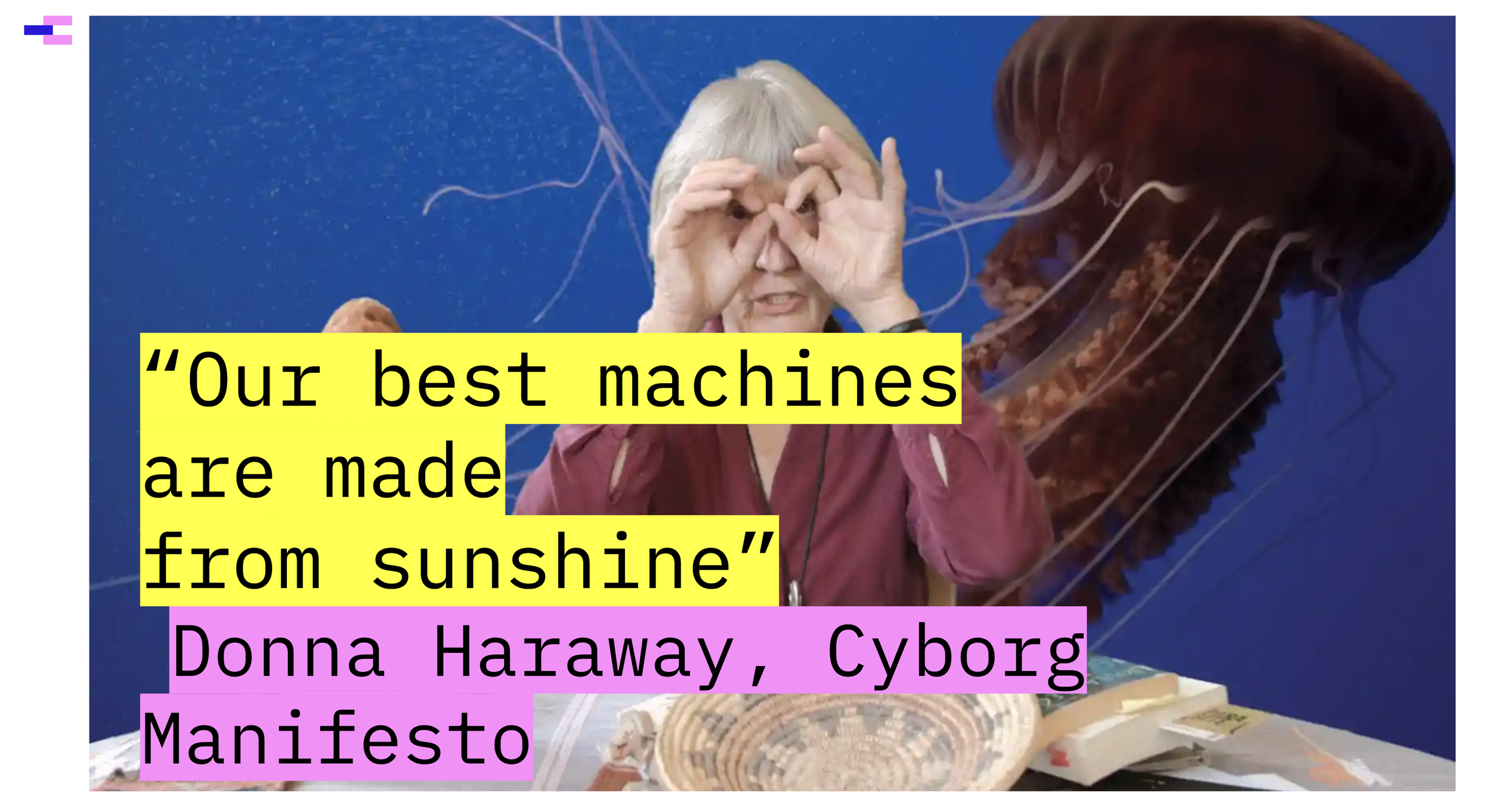 A picture of Donna Haraway against a bright blue background with an octopus in the background, and the words Our best machines are made from sunshine superimposed on the top