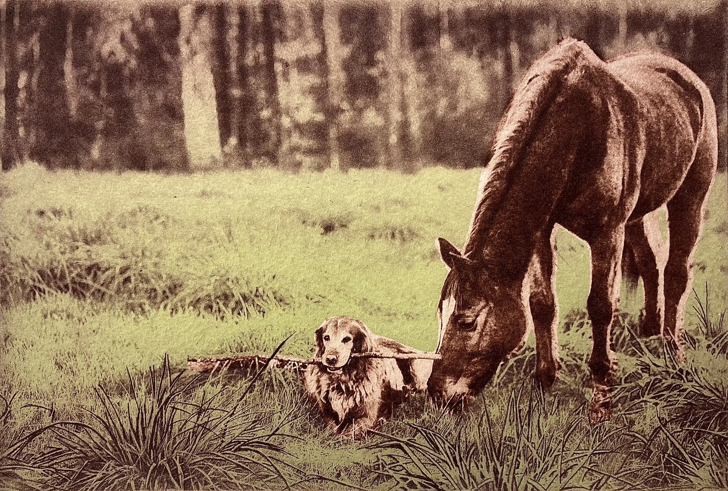 Johnson-Tedd and Phoenix.jpg