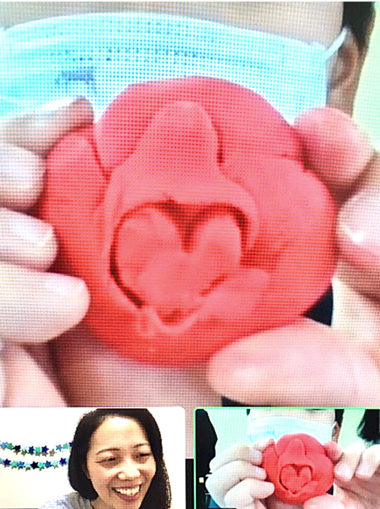 Screen Shot 2021-04-08 at 8.56.56 AM.png