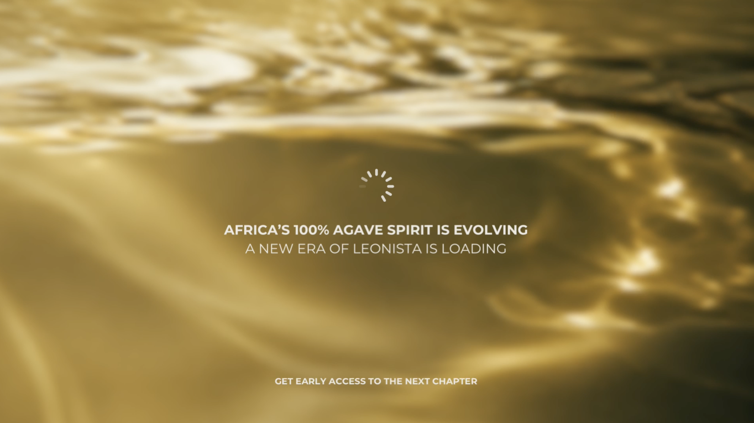 LEONISTA TEMP LANDING PAGE.png