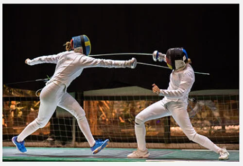 Fencing.jpg