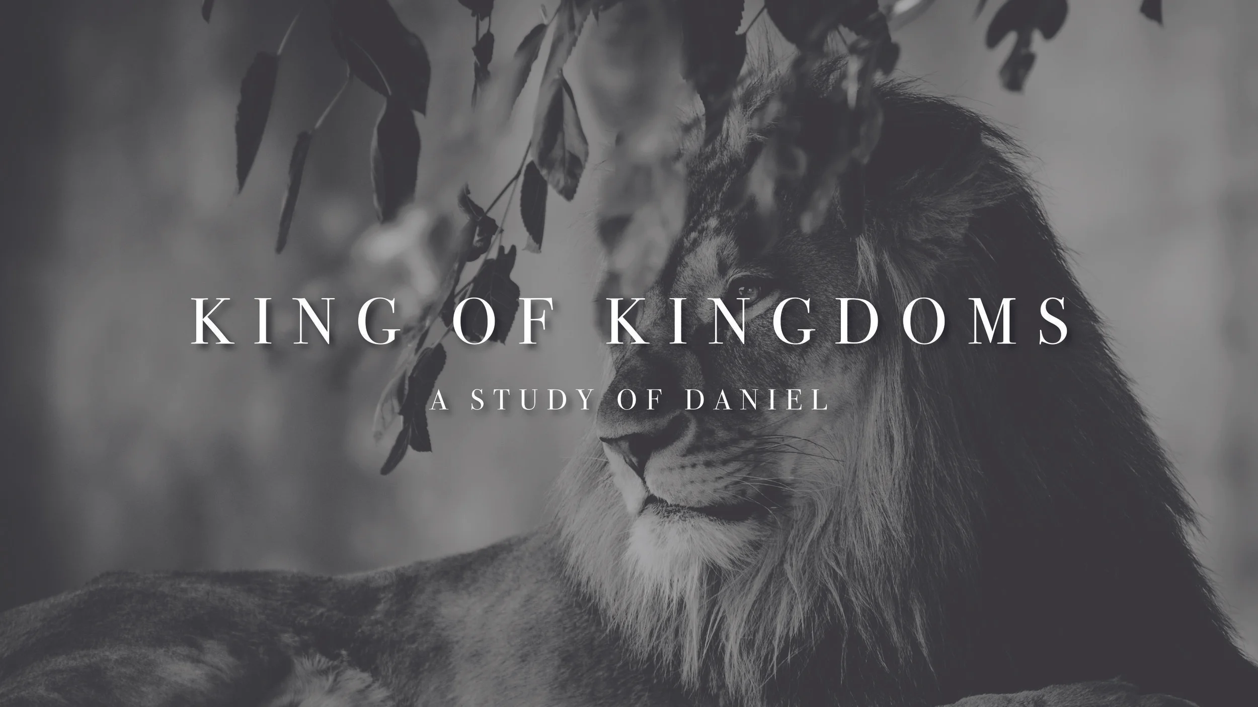 King of Kingdoms-01.jpg