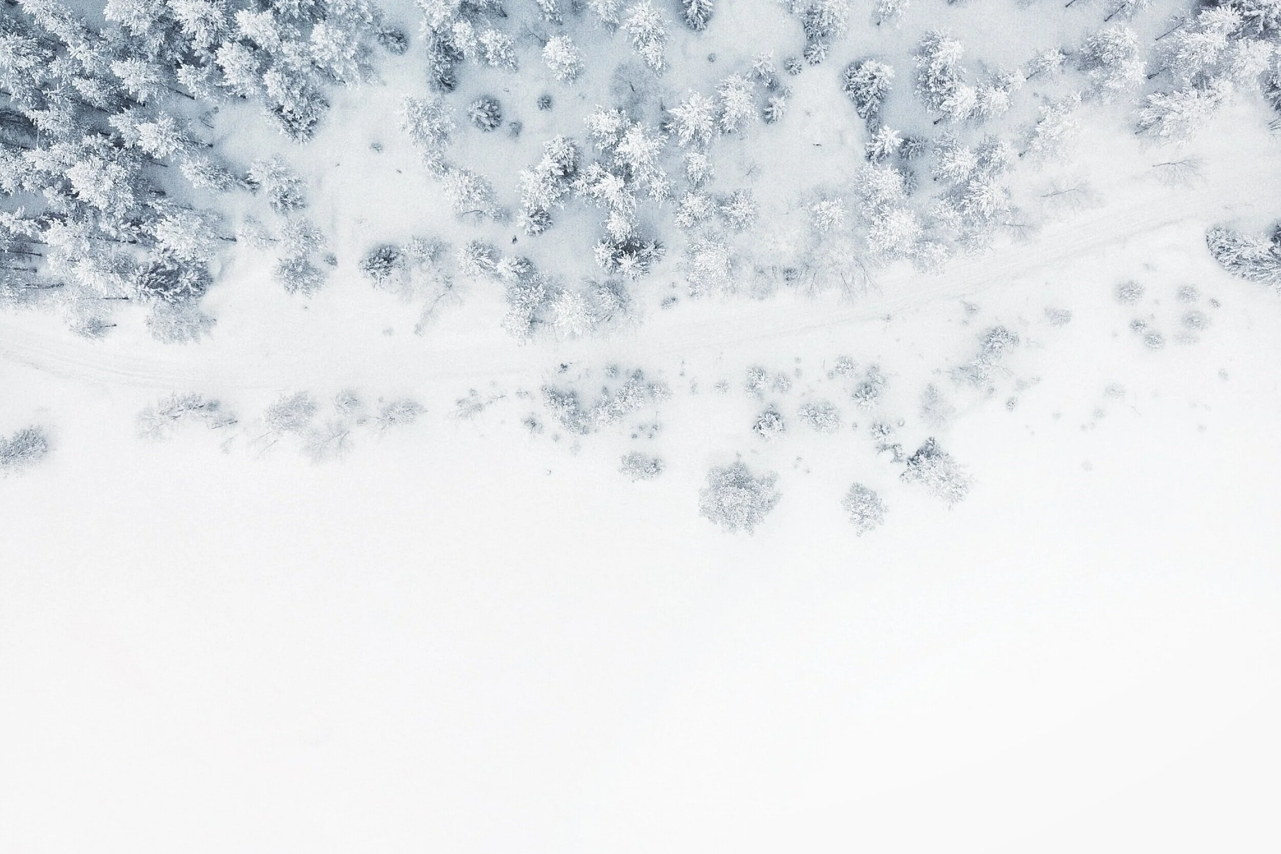 Embrace Winter Stillness