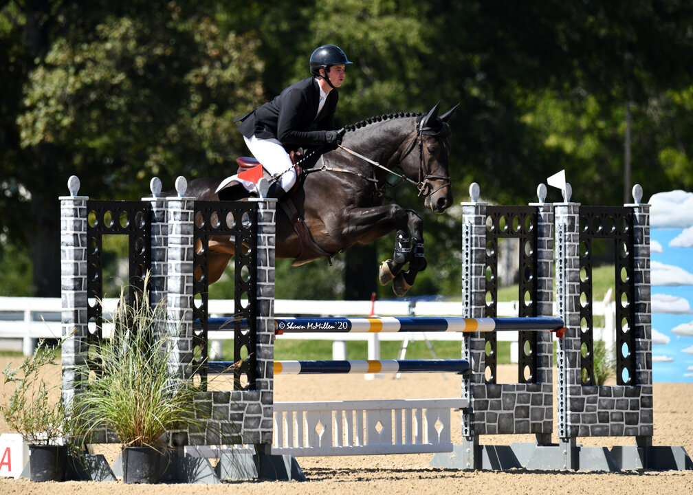 Polaris SCF won the Classic Champions Award of Distinction for the 5-year-old division.  Photo by Shawn McMillen Photography