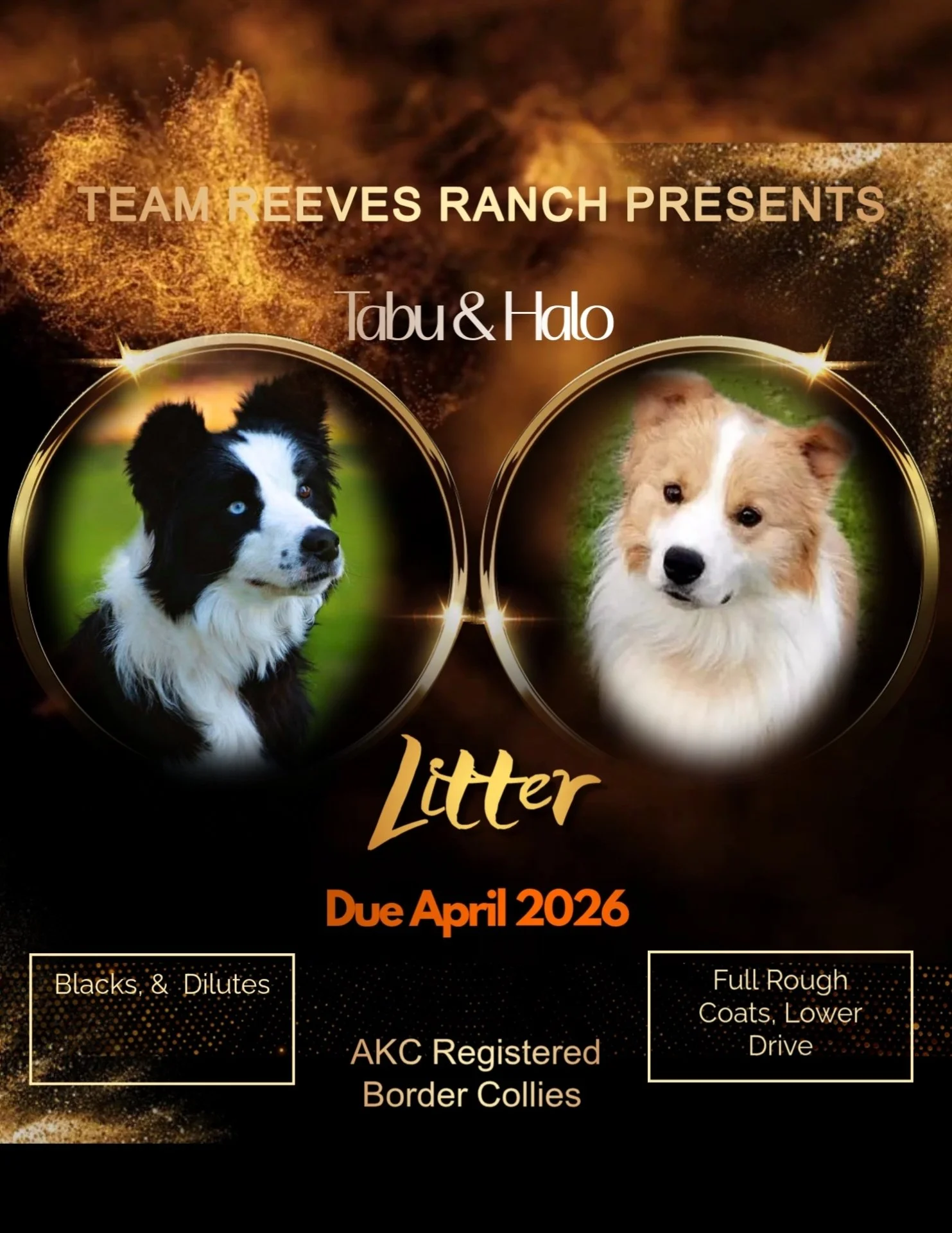 gold party (11) (7).jpg