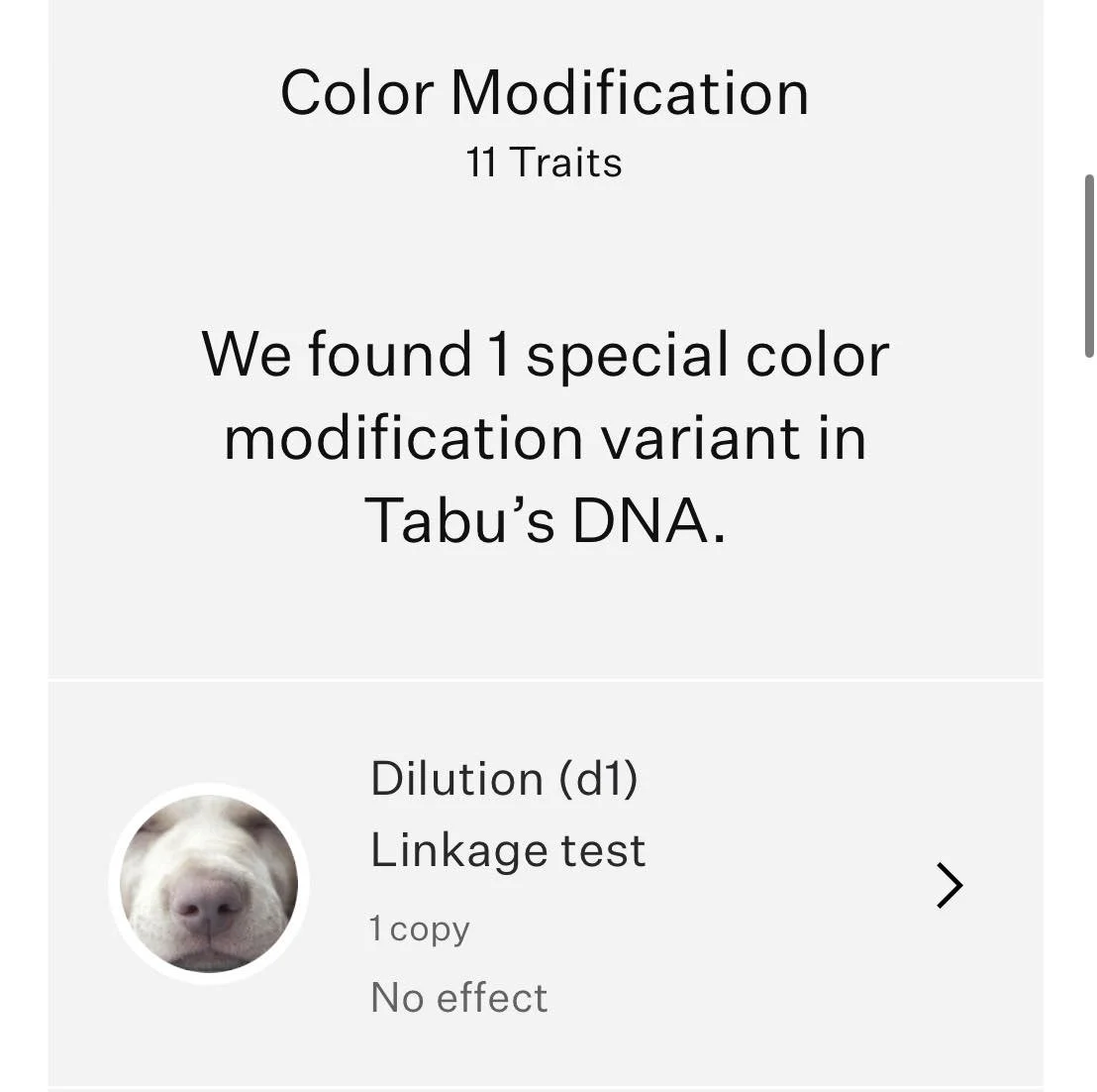 DNA4.jpg