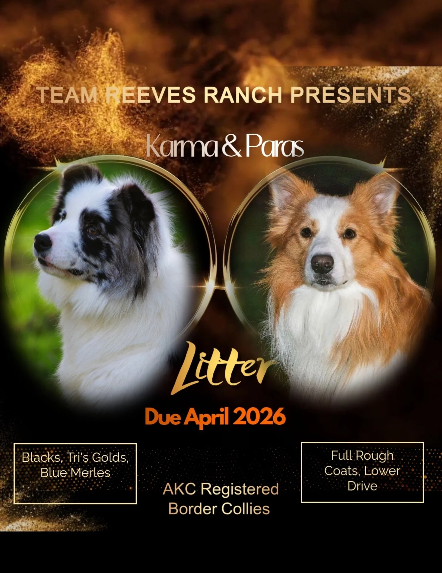 gold party (13) (14).jpg